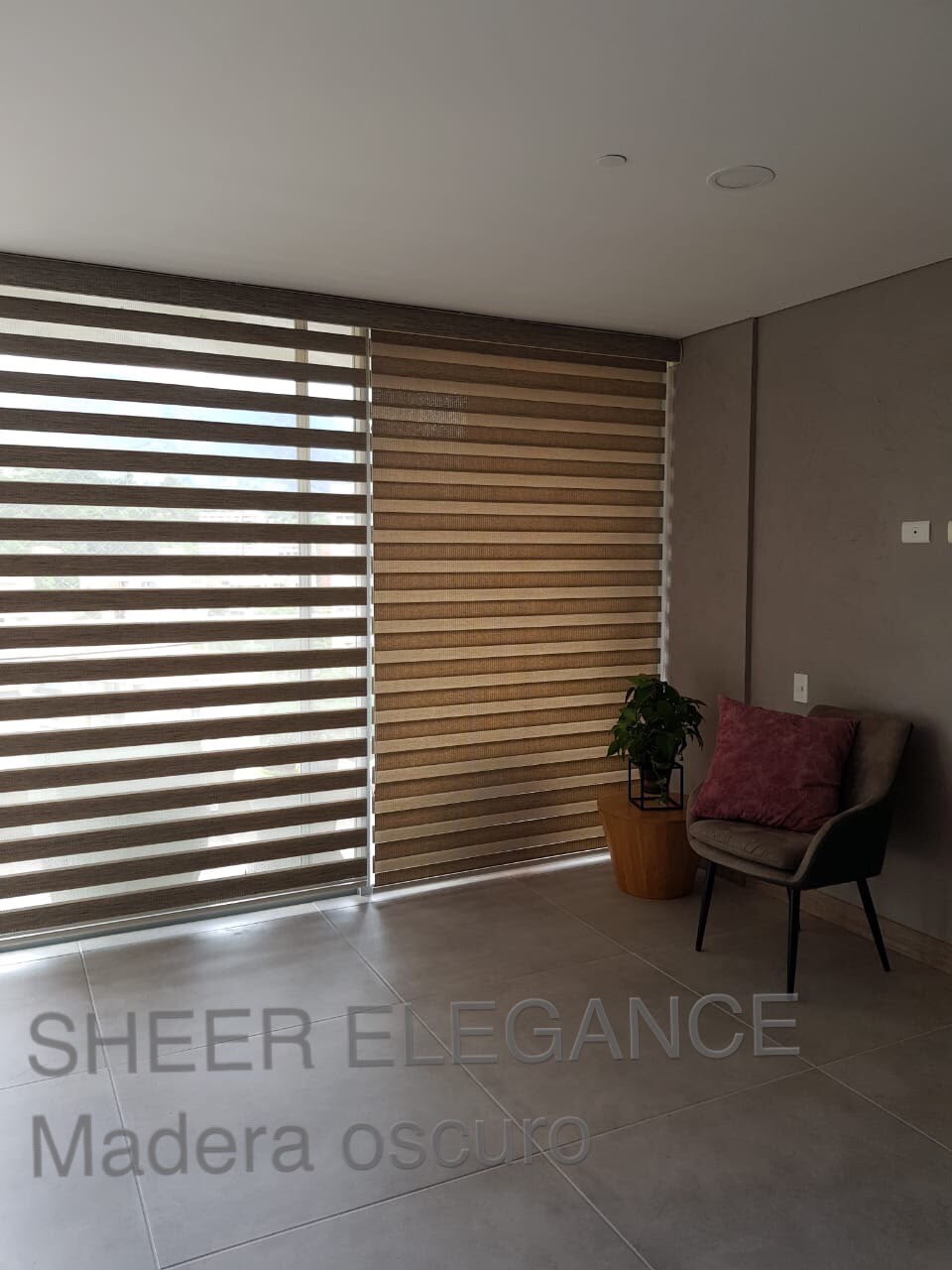 Sheer Elegance 1
